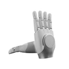 يد بارعة معزَّزة المتانة AgiBot OmniHand 3 Lite