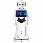 Alpha Alice Humanoid Reception Robot