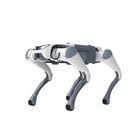 Deep Robotics Lite3 Basic Quadruped Robot Dog