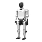 Noetix Bumi Standard İnsansı Robot
